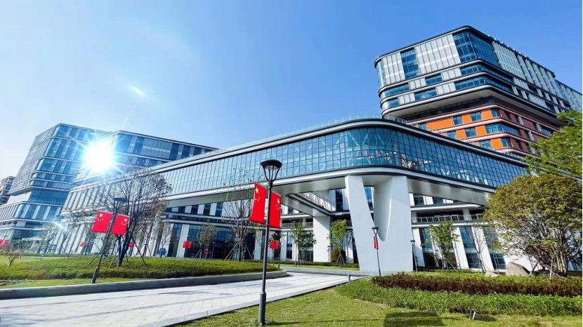 IT Staffing by a Technology Company